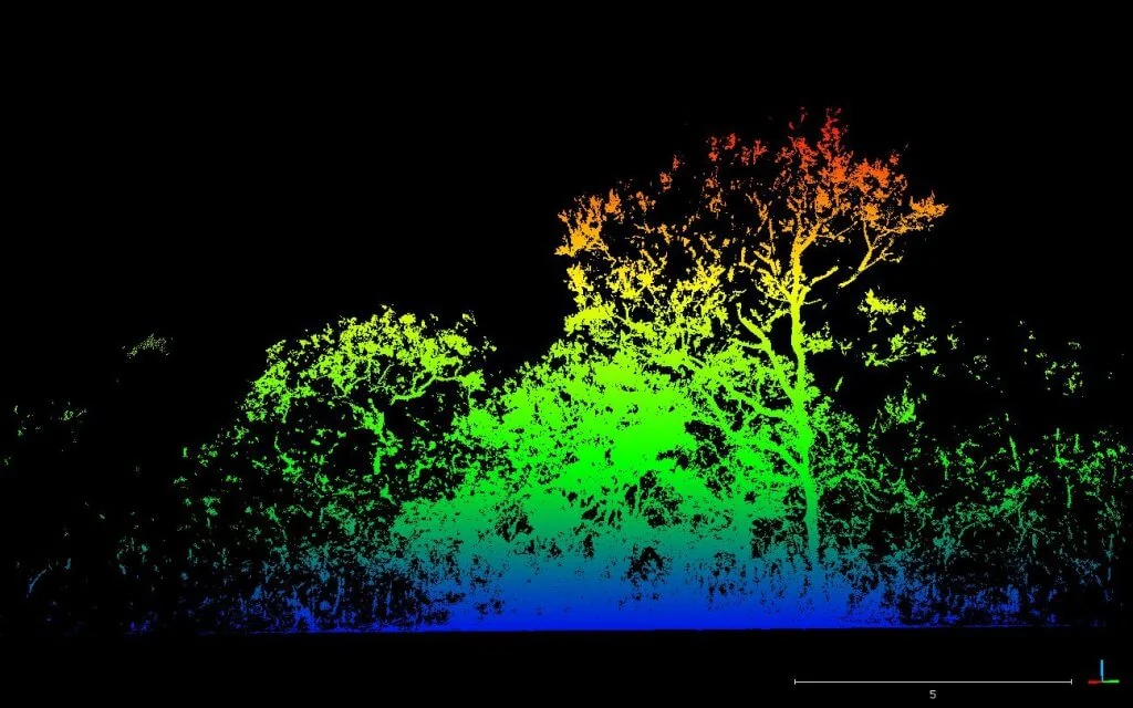 Imagem do Cerrado típico captada pelo LiDAR, no Jardim Botânico, em Brasília. Foto: Divulgação/IPAM
