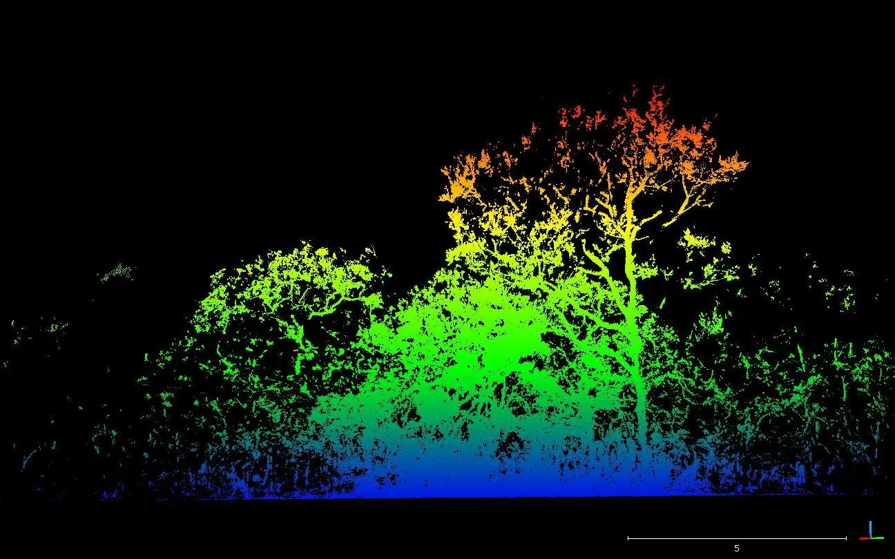 Laser ajuda cientistas a estudarem o Cerrado típico com mais precisão