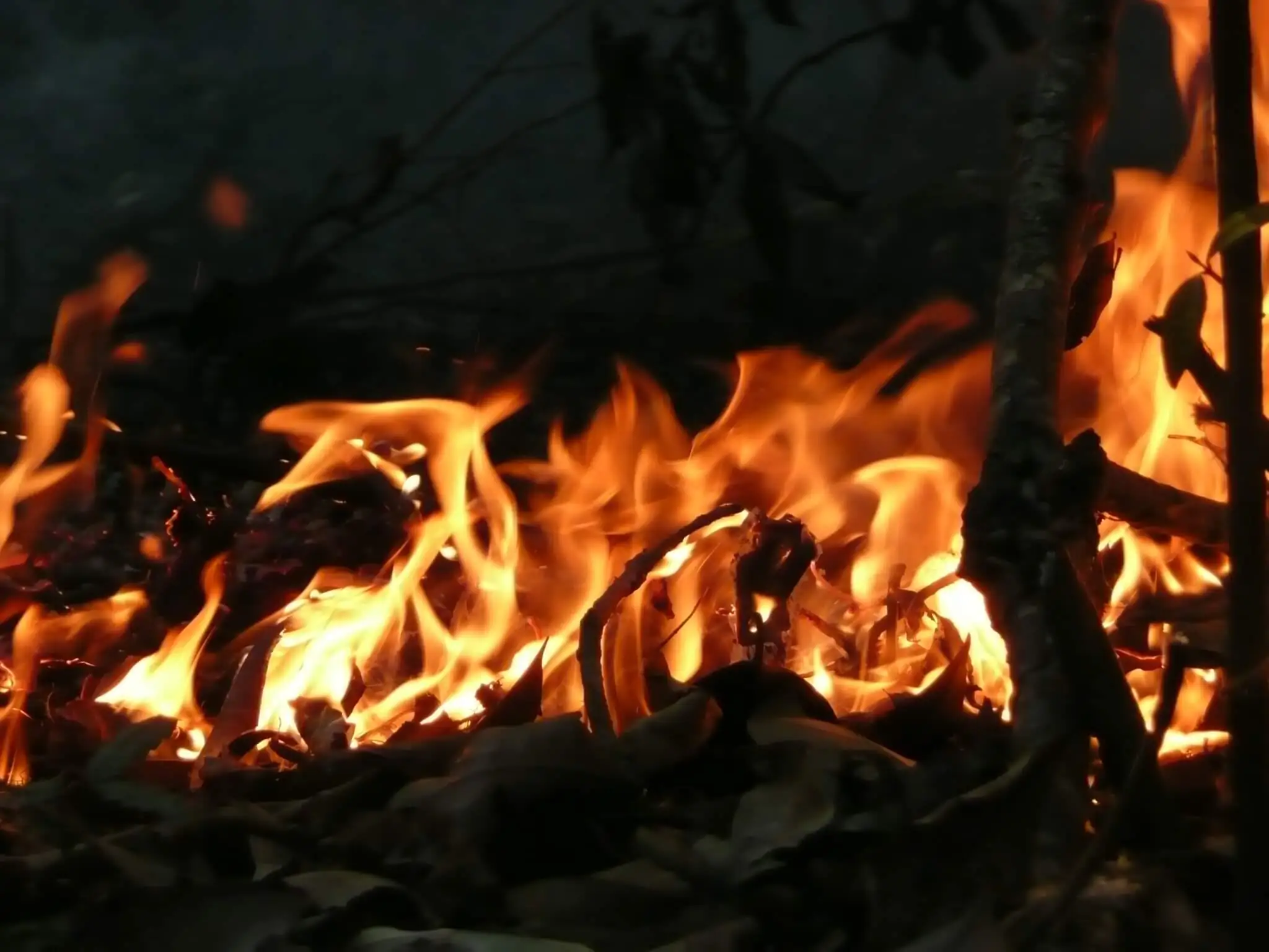 Clima tornará sudeste da Amazônia duas vezes mais inflamável neste século