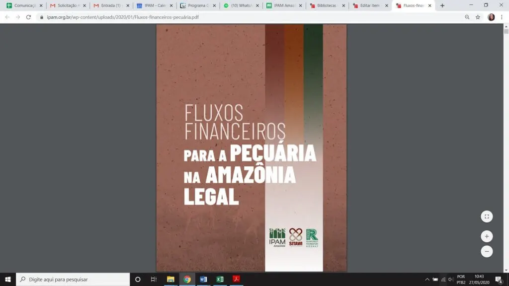 Fluxos financeiros para a pecuária na Amazônia Legal