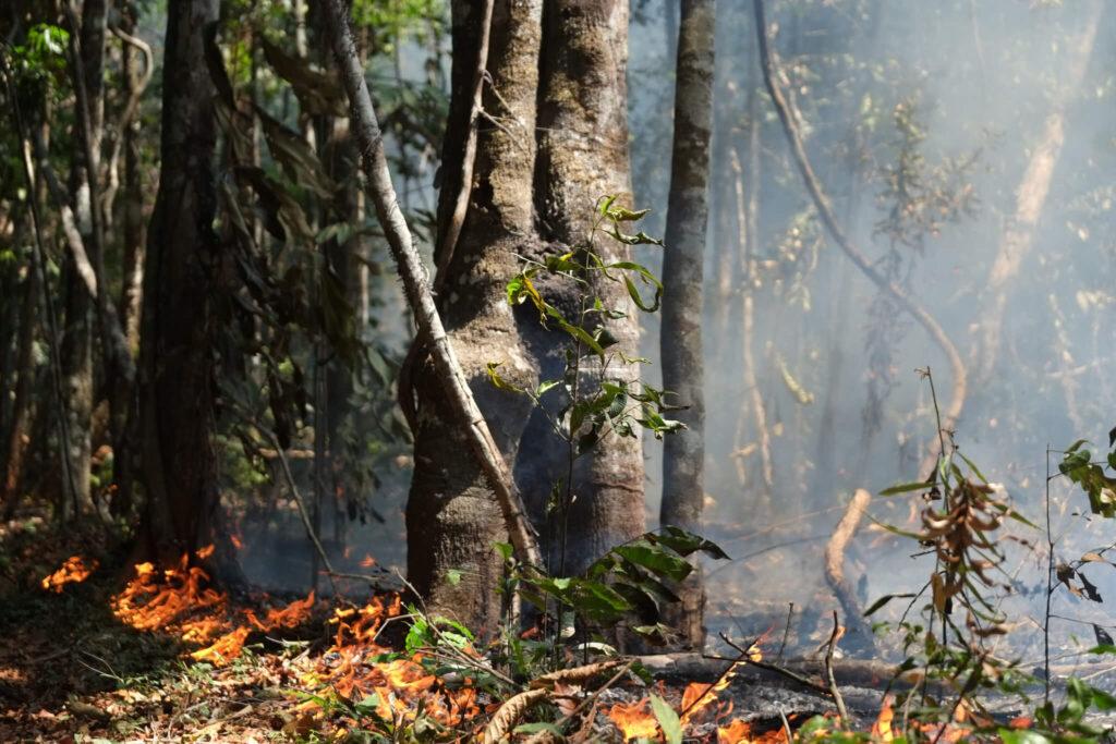 Fogo na Amazônia