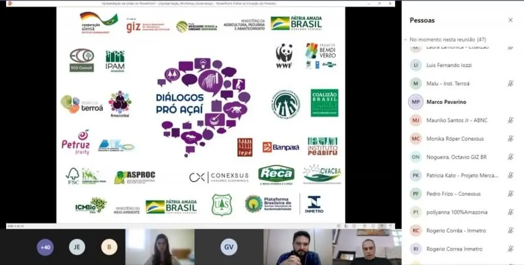 Workshop on-line sobre os desafios e oportunidades da cadeia do açaí. Foto: Divulgação/Instituto Terroá