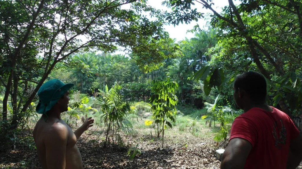 Artigo que traça trajetória e resultados do PAS é publicado pela Cepal e reconhecido como Big Push para a Sustentabilidade no Brasil. Foto: Divulgação/IPAM