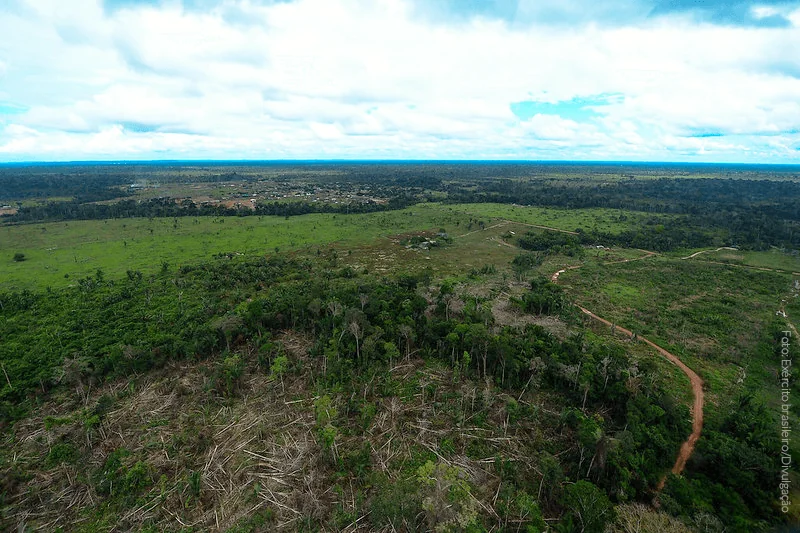 Amazon Deforested Area to be Burned in 2020 May Exceed 4.5 Thousand km2