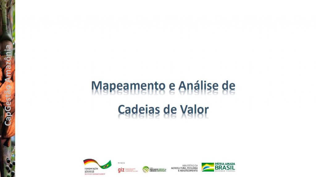 Mapeamento e análise de cadeias de valor
