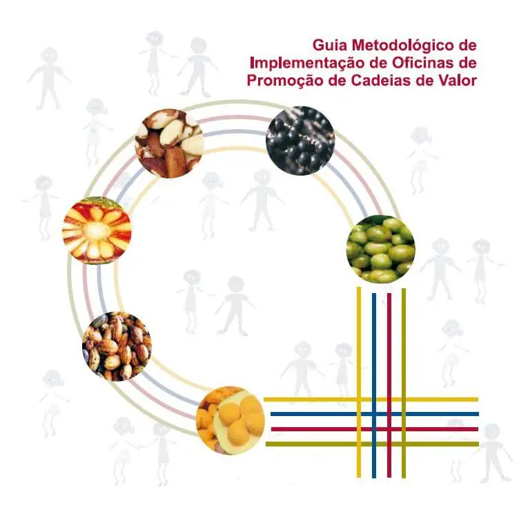 Guia Metodológico de implementação de oficinas de promoção de cadeias de valor - metodologia Value Links