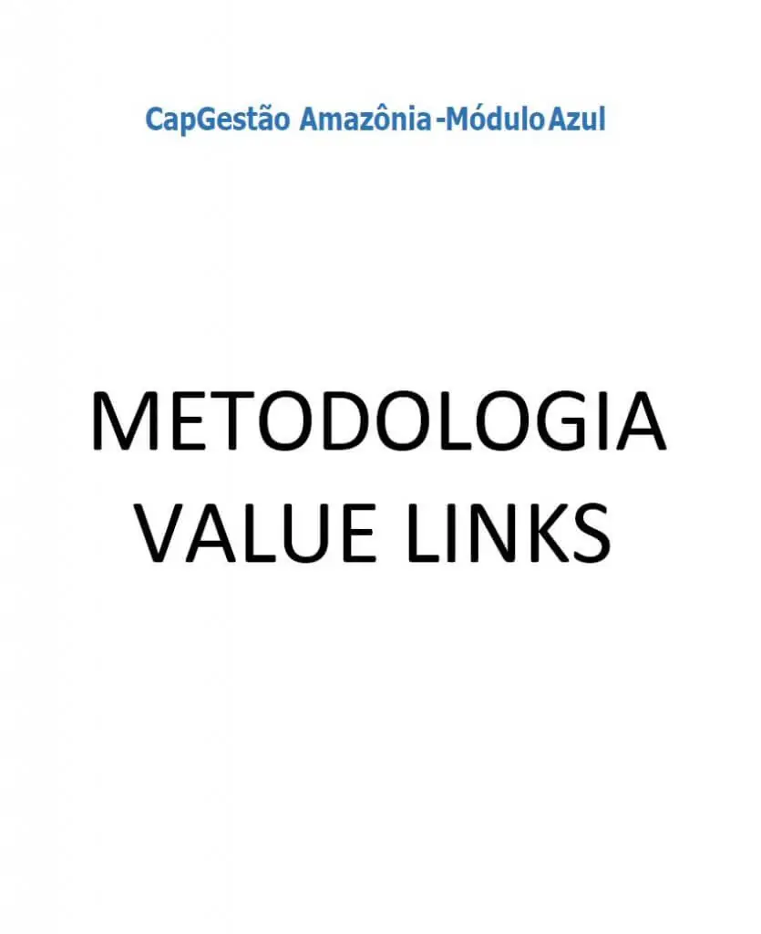Promoção de cadeias de valor - metodologia Value Links