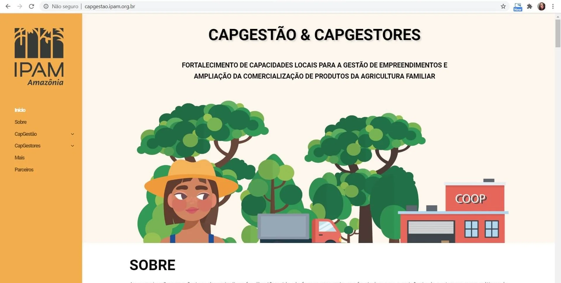 IPAM lança site para abrigar conteúdo dos Programas CapGestão e CapGestores