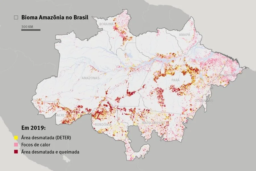 New Report: Fires Affect Health of Thousands in the Brazilian Amazon