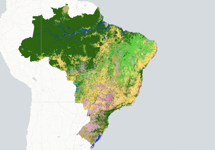 Brasil perdeu 10% do território em vegetação nativa entre 1985 e 2019