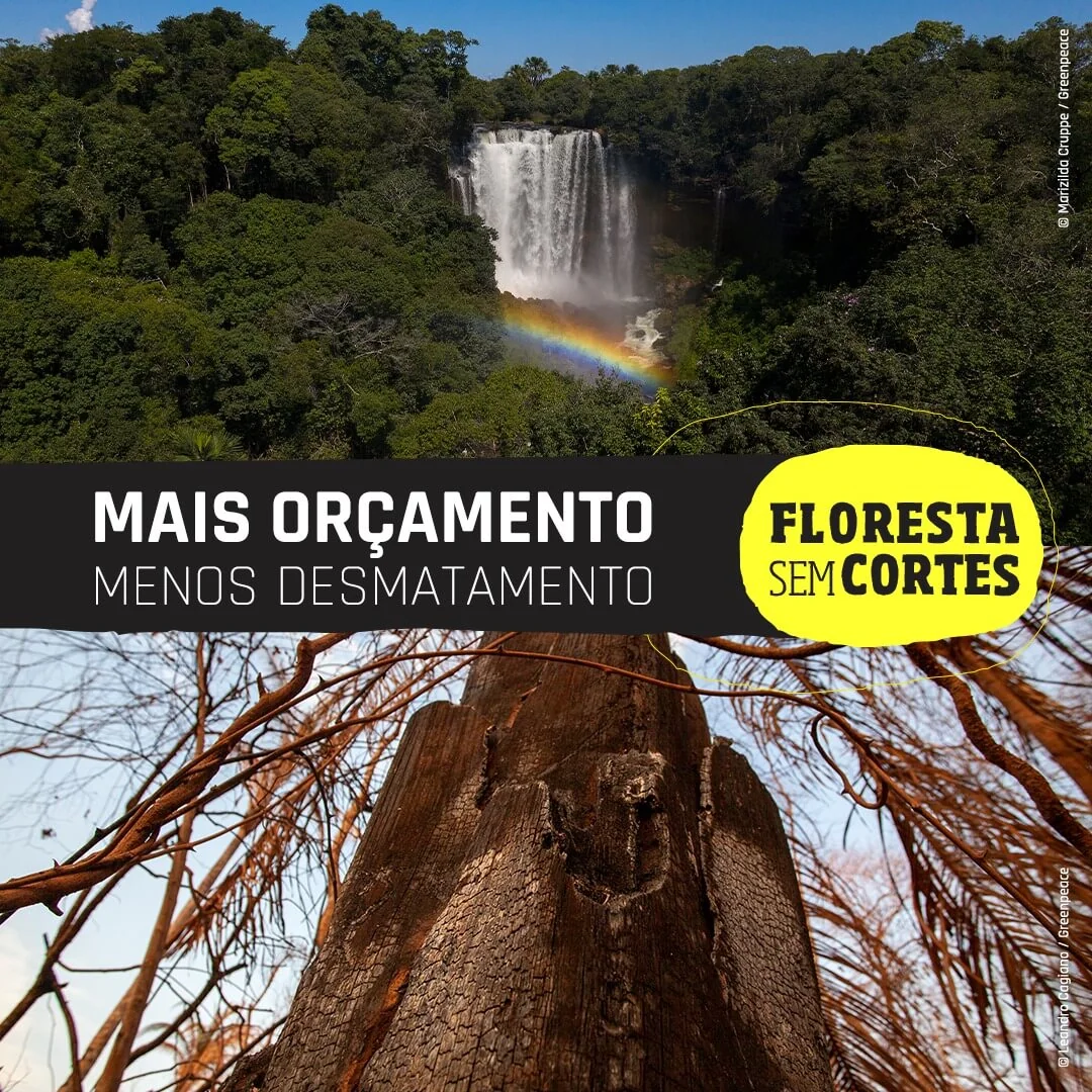 Organizações pedem aumento no orçamento para o meio ambiente