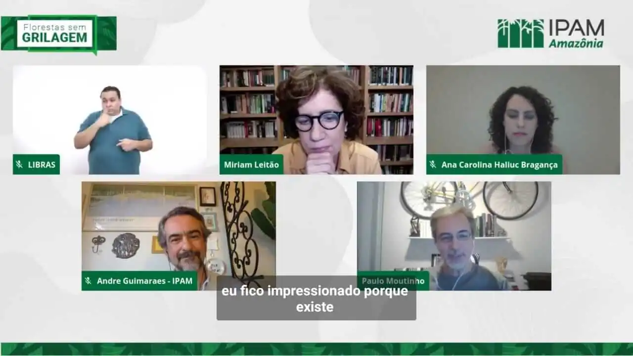 Deforestation in illegally occupied areas explodes in two years