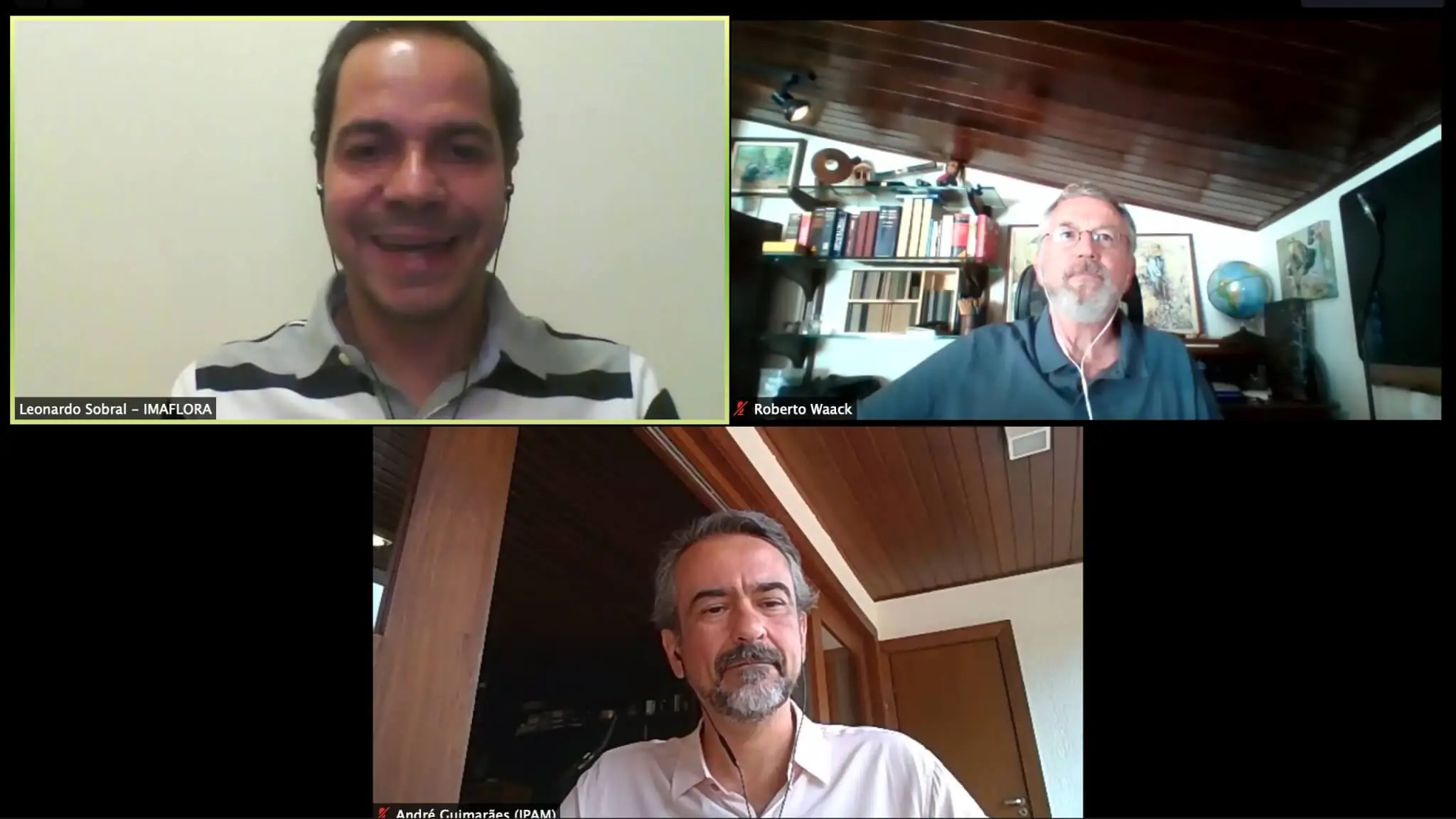 Exploração de madeira depende de manejo, certificação e fiscalização