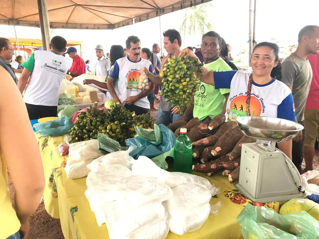 Projeto Negócios Familiares Sustentáveis aumenta renda de participantes em 61%