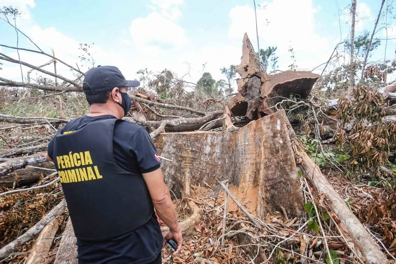 Municípios da região Norte são os maiores emissores de gases estufa do Brasil