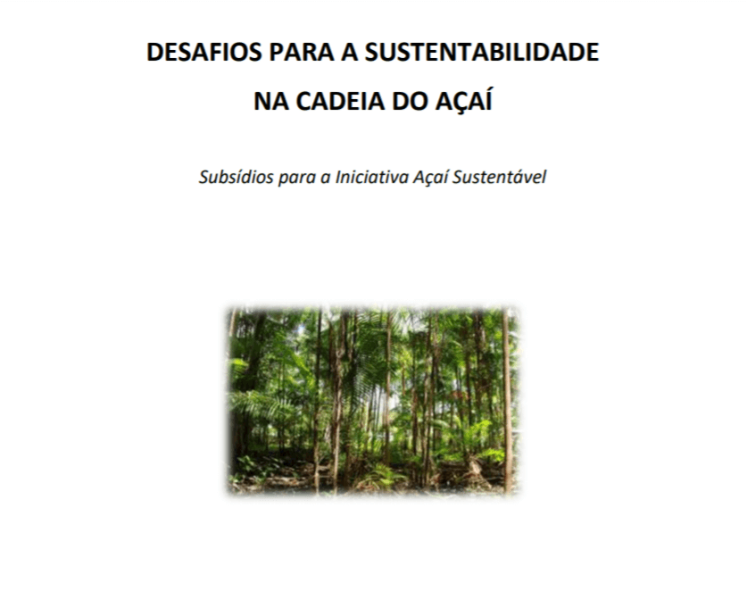 IPAM Amazônia - | Desafios Para A Sustentabilidade Na Cadeia Do Açaí