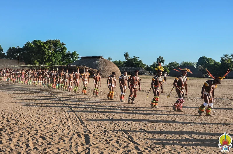 Brasileiros não confiam no governo federal para proteger a Amazônia