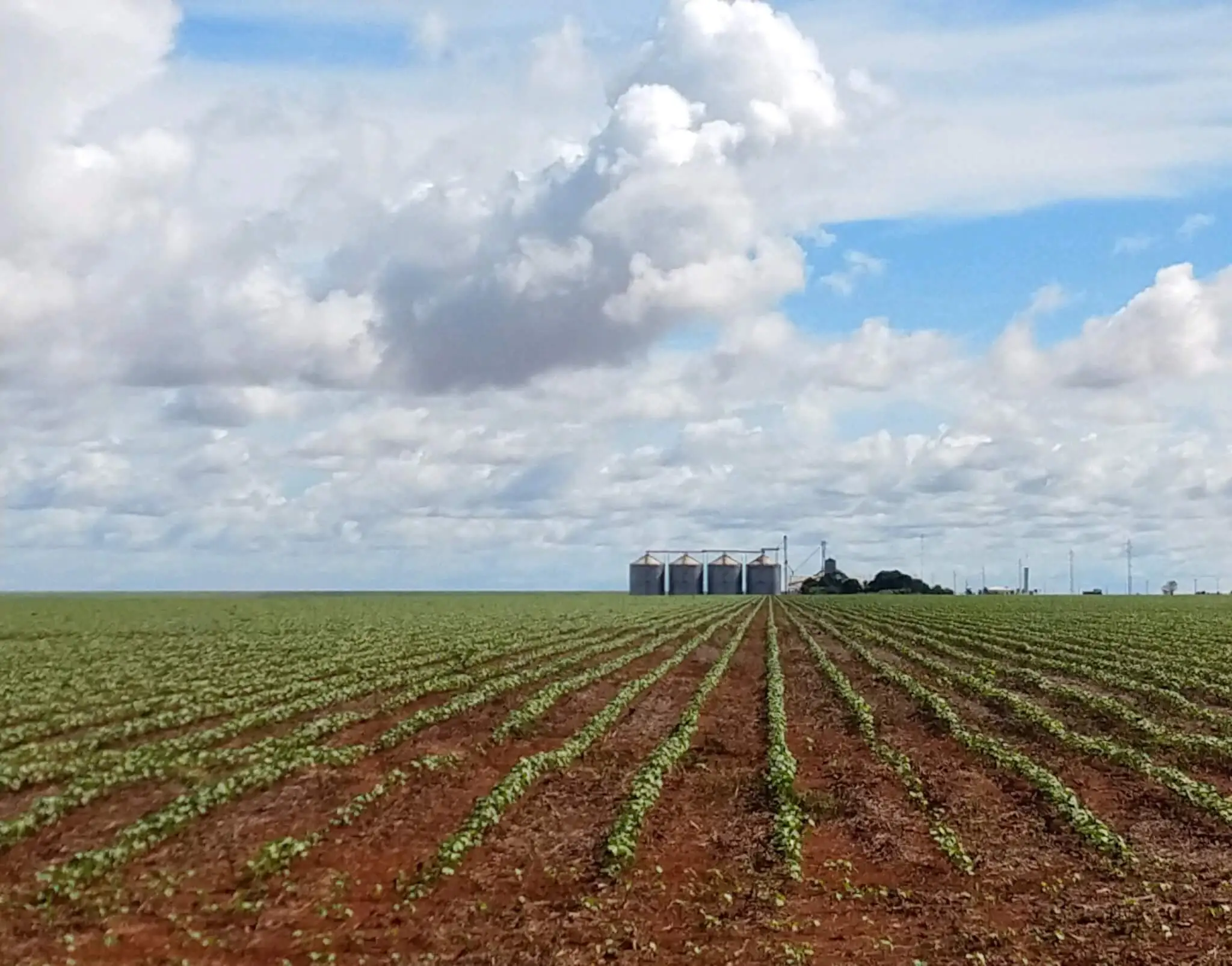 Intensificação do solo pode aumentar a produção e favorecer o clima