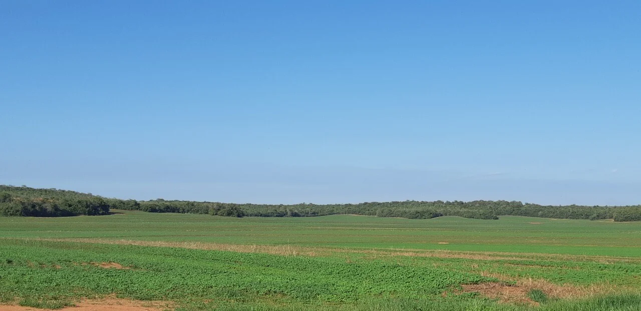 Regularização ambiental traz benefícios para produtor que cumpre a lei