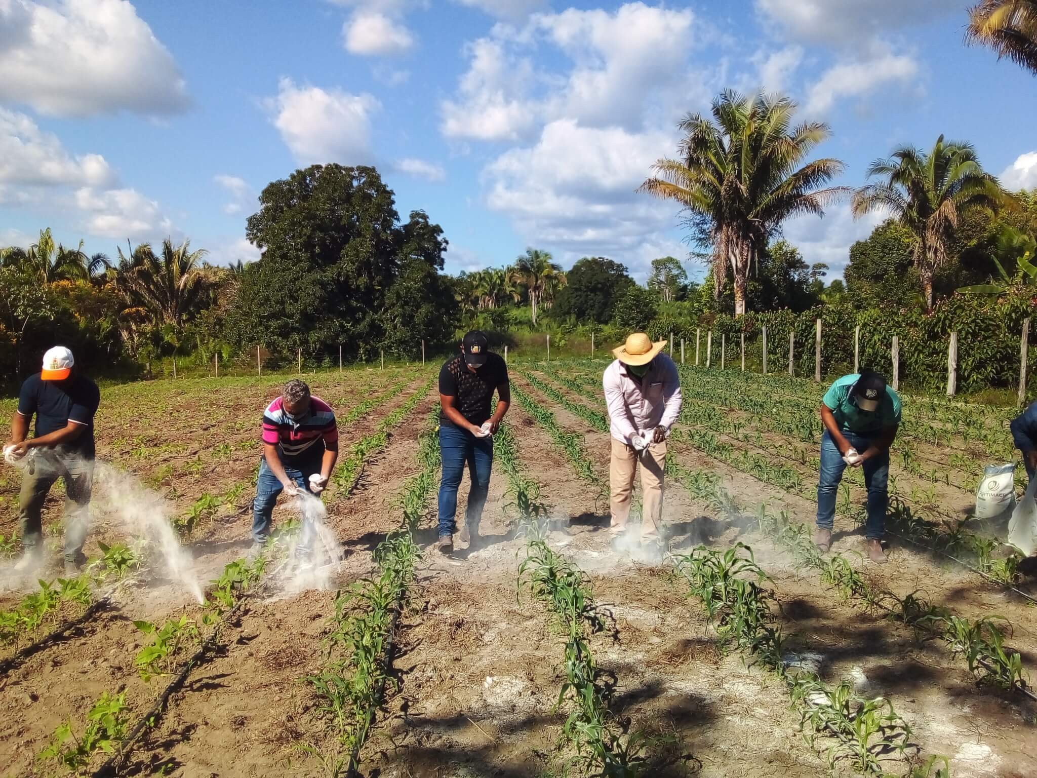 Técnicos auxiliam agricultores do projeto de assentamento Rio Aratau a corrigirem acidez do solo. Foto: Denise Reis/IPAM