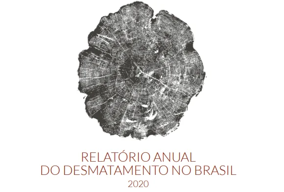 Desmatamento cresce na Amazônia e no Pantanal do Centro-Oeste