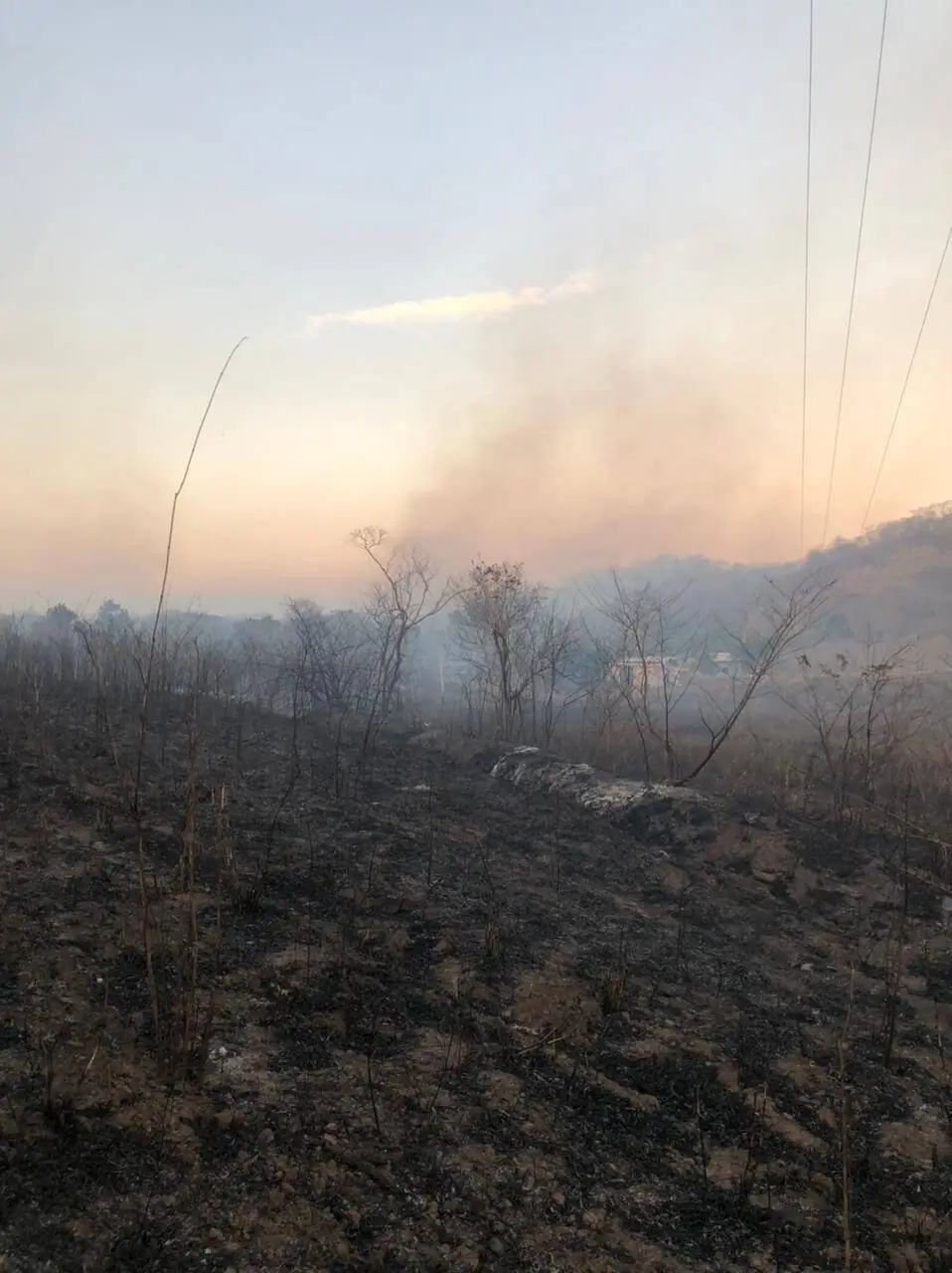 Fires caused by human action reach the Cerrado biome in Mato Grosso