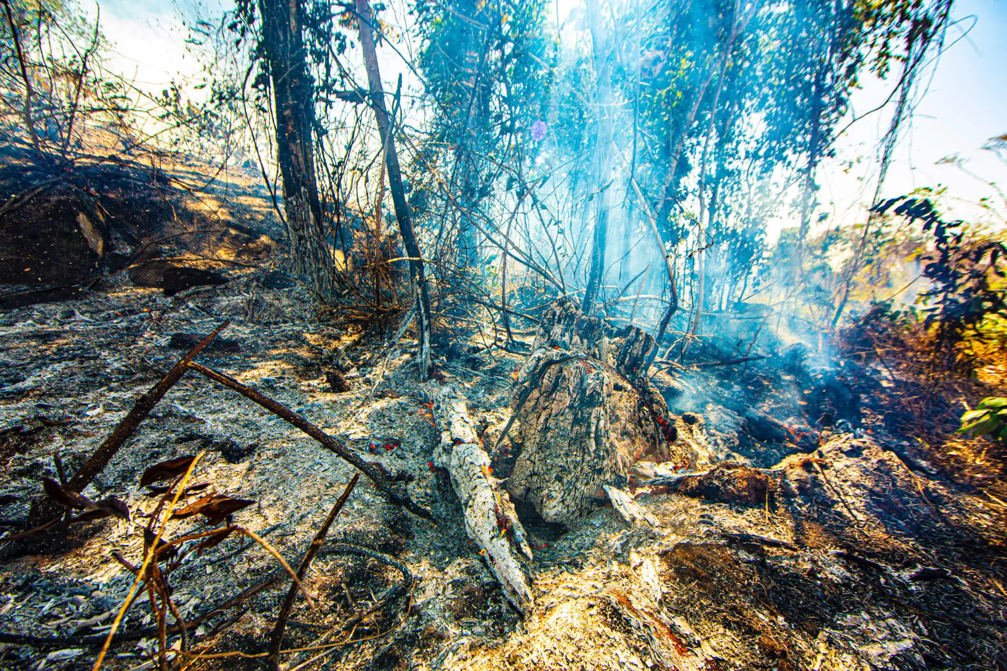 Deforestation fire continues to threaten the Amazon and challenge combat