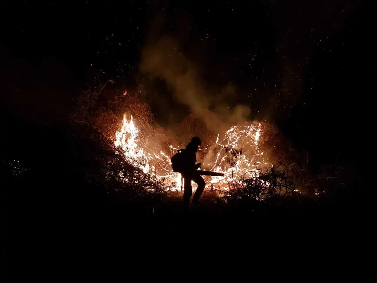 Área queimada no Pantanal Mato-grossense dobra de tamanho em um dia