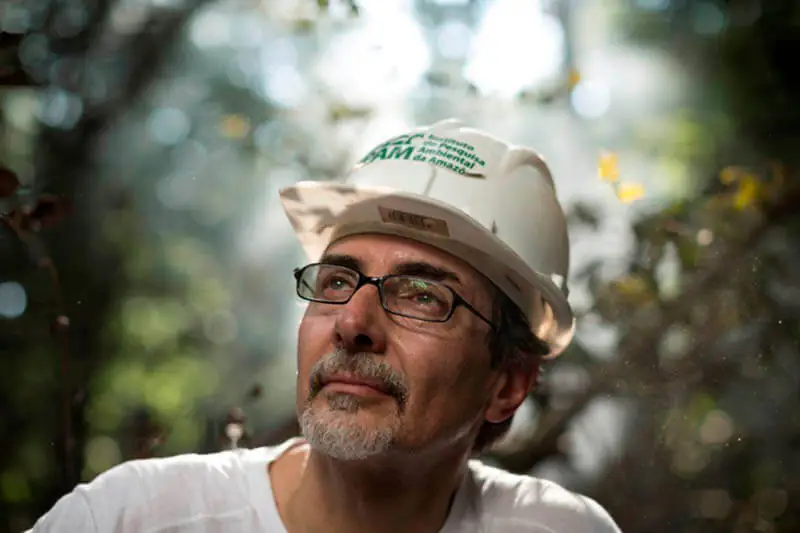 Qualquer solução para a mudança climática global requer a Amazônia em pé