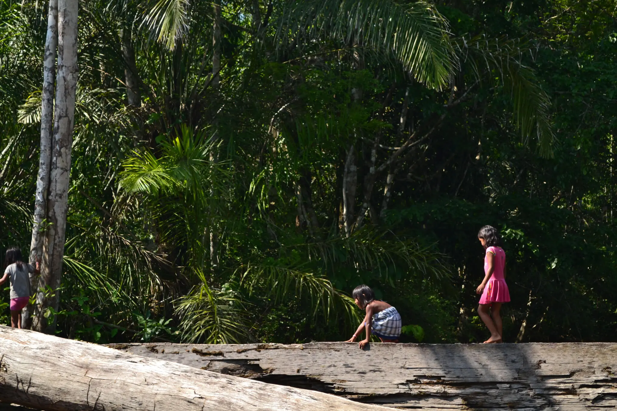 “O ACI é uma ferramenta a mais para nos ajudar a cuidar do nosso território”