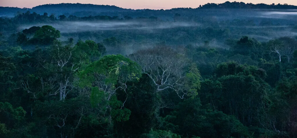 Ciências da Terra: Sem título - Foto: Roberto Leite Filhos