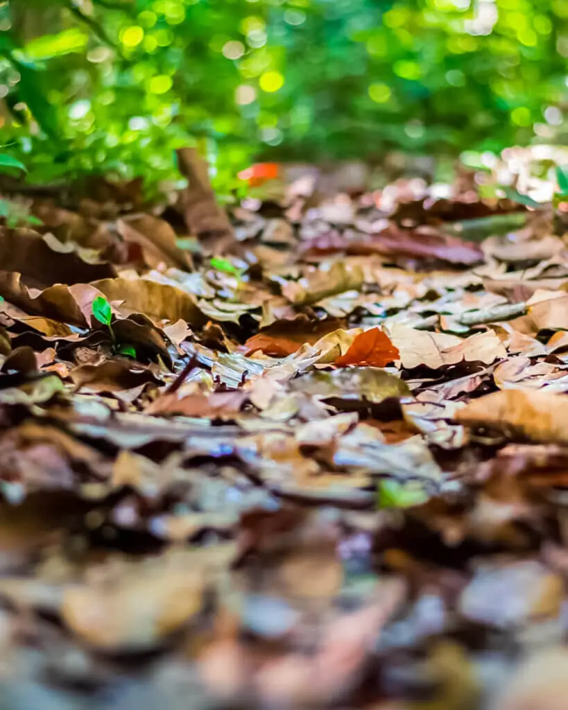 Conservação: Sem título – Foto: Tainah Narducci