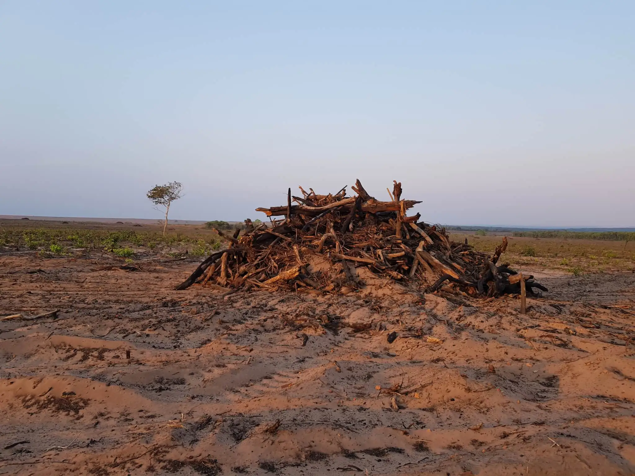 Climate change already affects agriculture in 28% of the Brazilian midwest