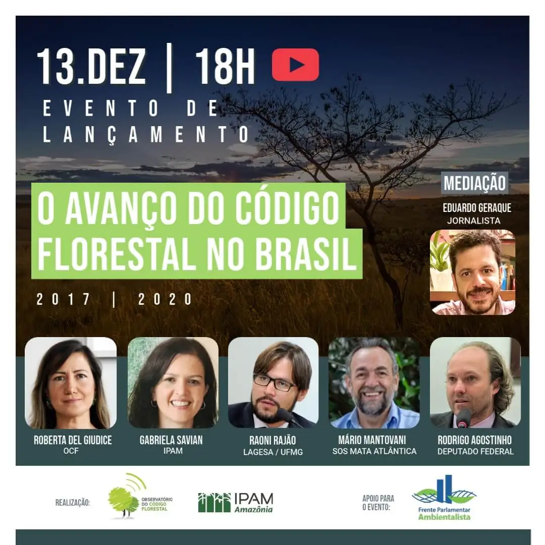 Estudo analisa avanço da aplicação do Código Florestal brasileiro