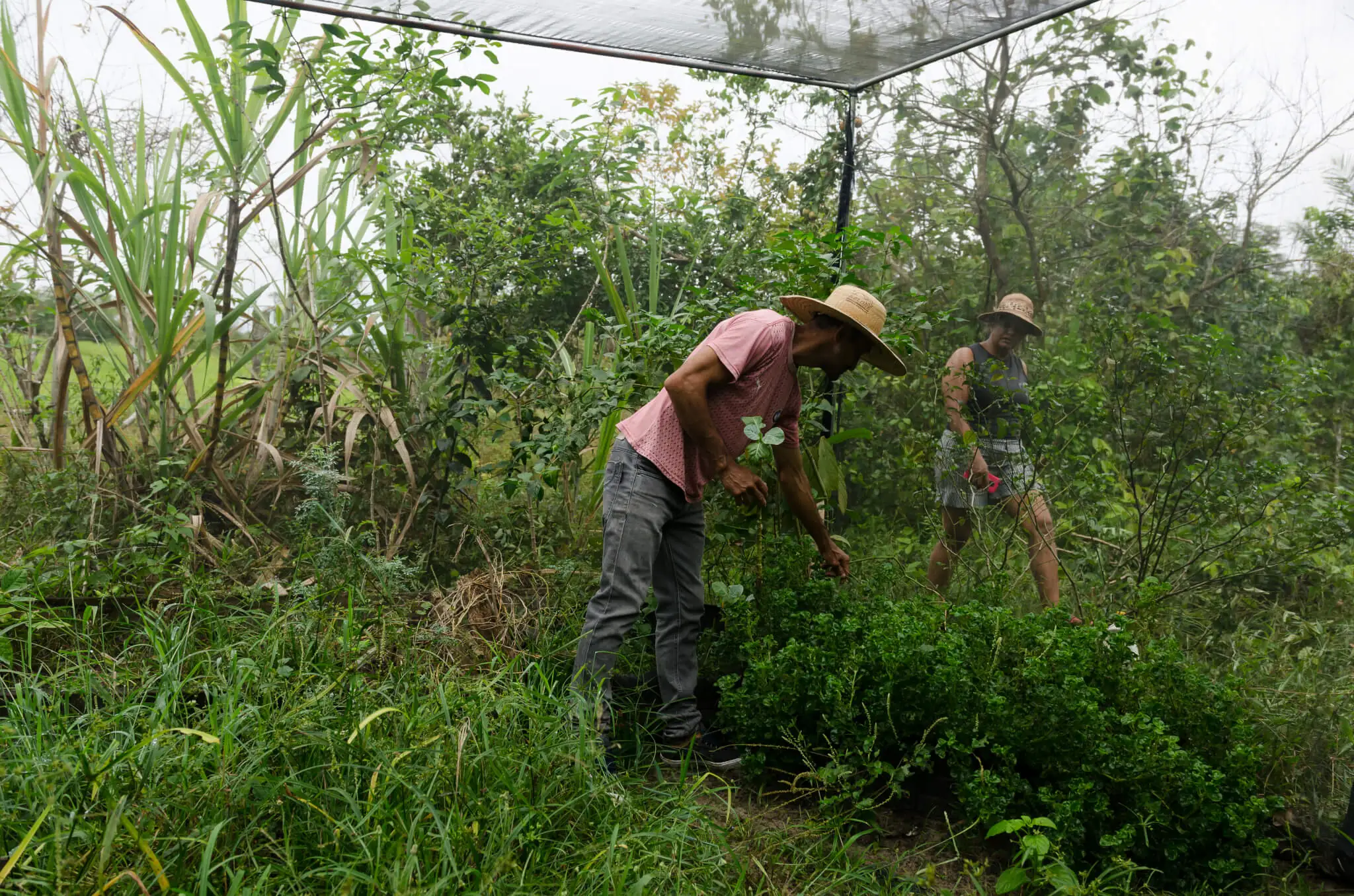 Diagnóstico apoia desenvolvimento sustentável no Maranhão