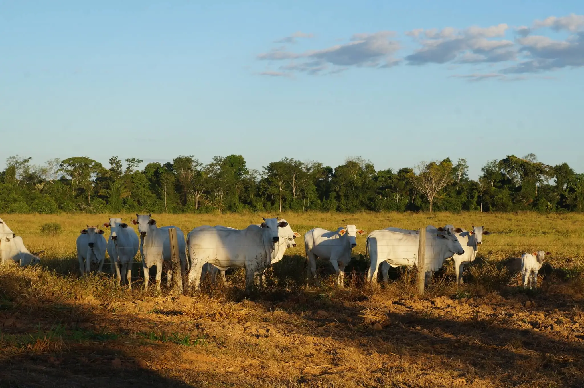 “Aumentar a produtividade e fazer isso com sustentabilidade”
