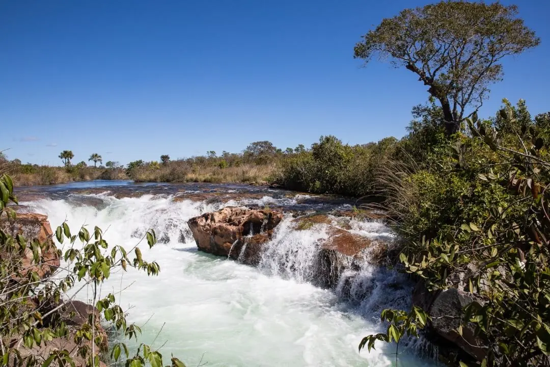 Perda de áreas úmidas do Cerrado coloca agricultura brasileira em risco