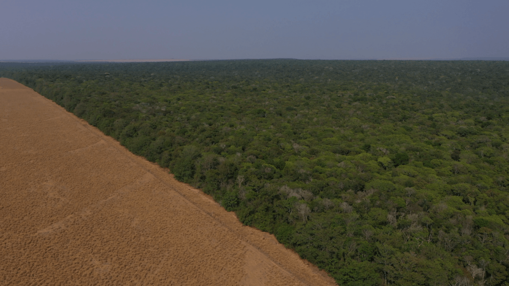 Áreas contratadas pelo CONSERV protegem 9.768 hectares. Na foto, imagem aérea de propriedade em Sapezal. Foto: IPAM/Pantanal Filmes