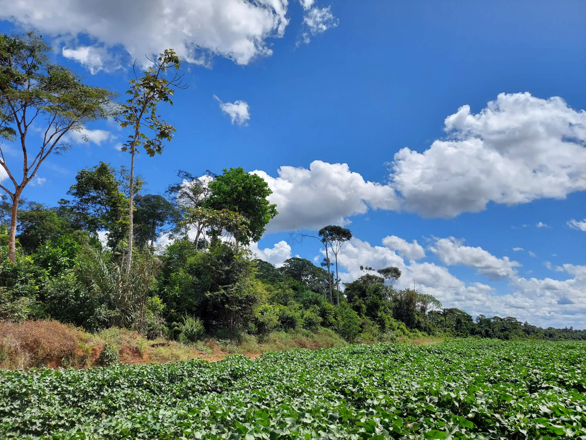 CONSERV soma 14,3 mil hectares protegidos em áreas privadas
