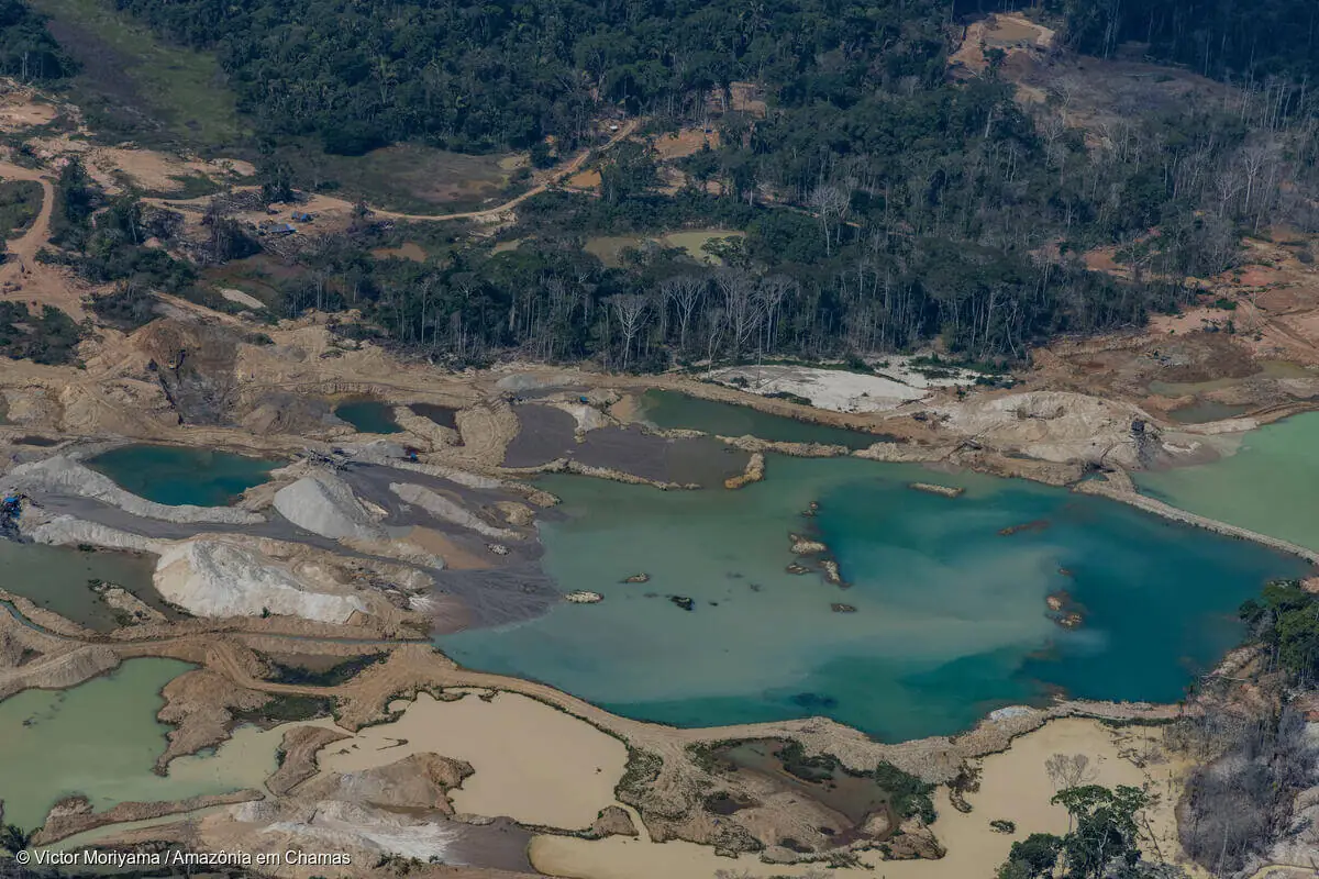 Amazon has more than 80,000 mining sites, says IPAM technical note