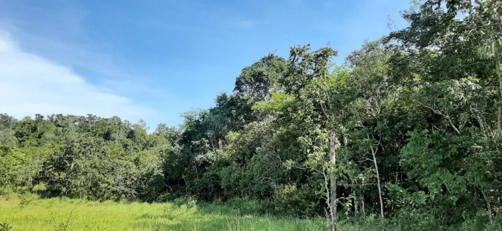 Com os seis novos contratos, CONSERV passa a remunerar pela conservação de mais 4.552 hectares de vegetação nativa.