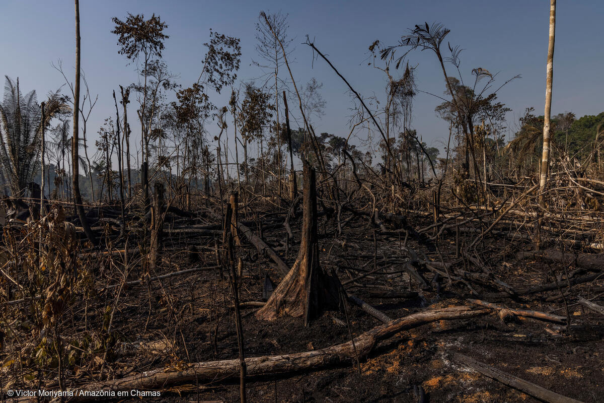 Após séculos de manejo bem sucedido, regime de fogo no Xingu está mudando