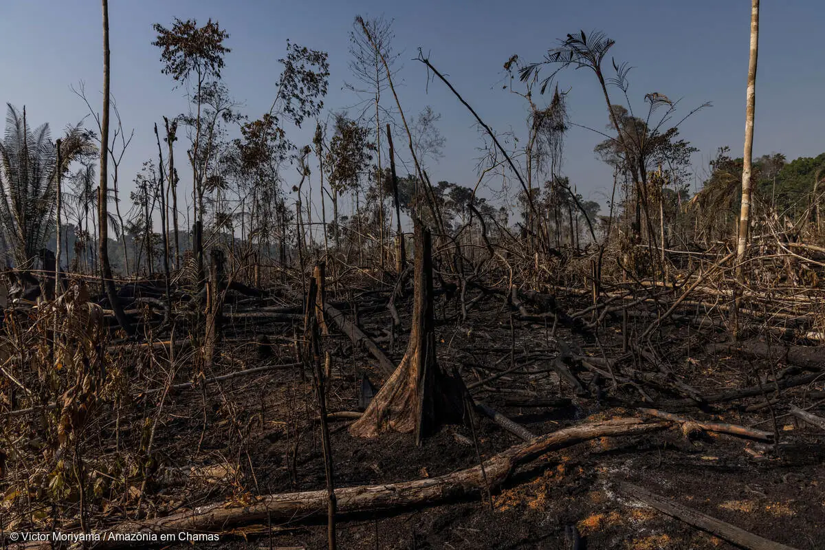 Após séculos de manejo bem sucedido, regime de fogo no Xingu está mudando