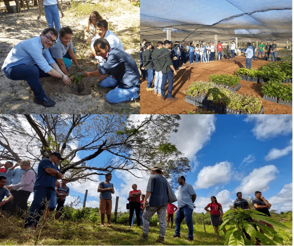 IPAM promove ações de restauro em Mato Grosso e no Pará