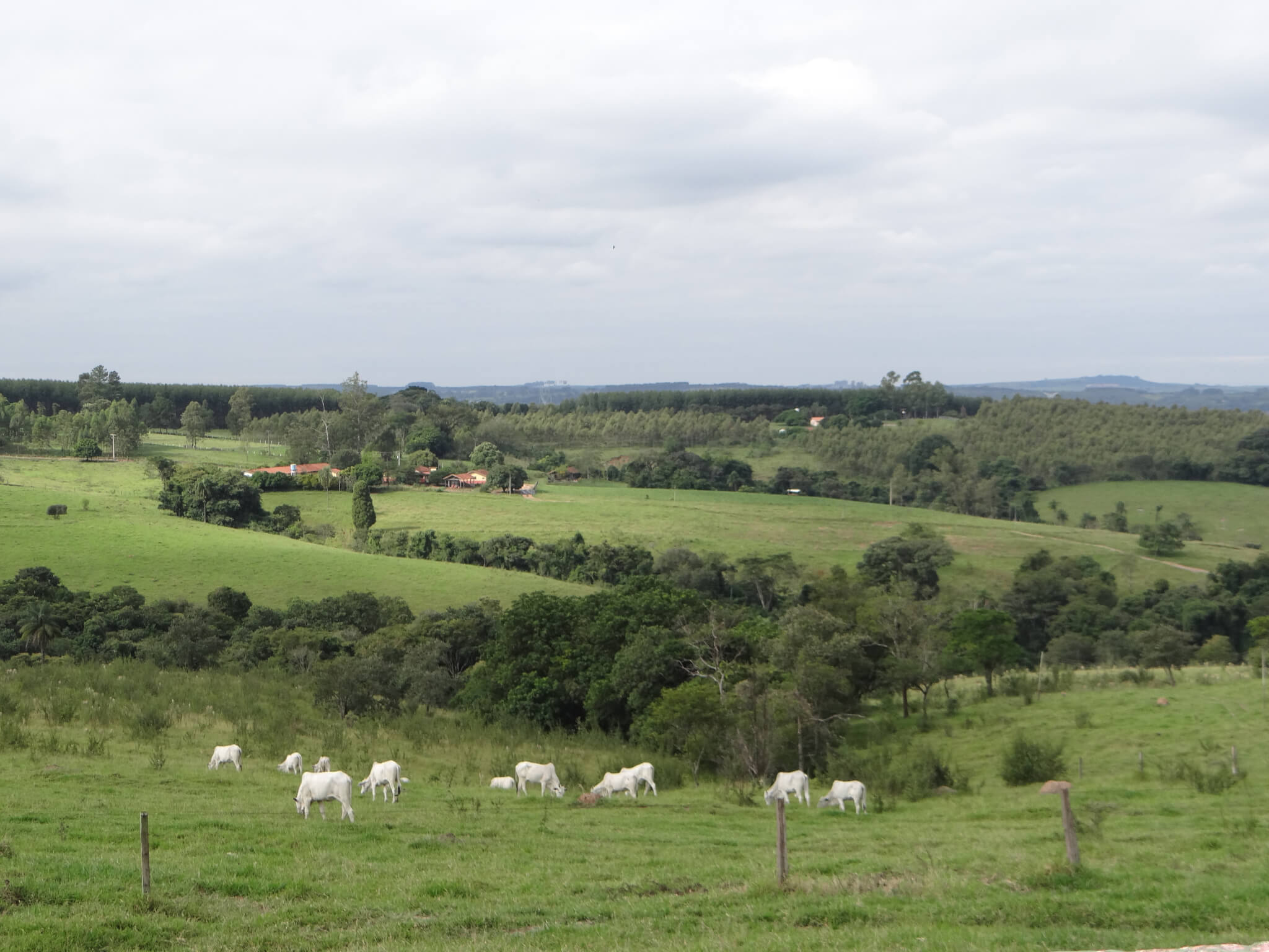 Clima: 97% dizem sentir aumento da temperatura em comunidades de SP