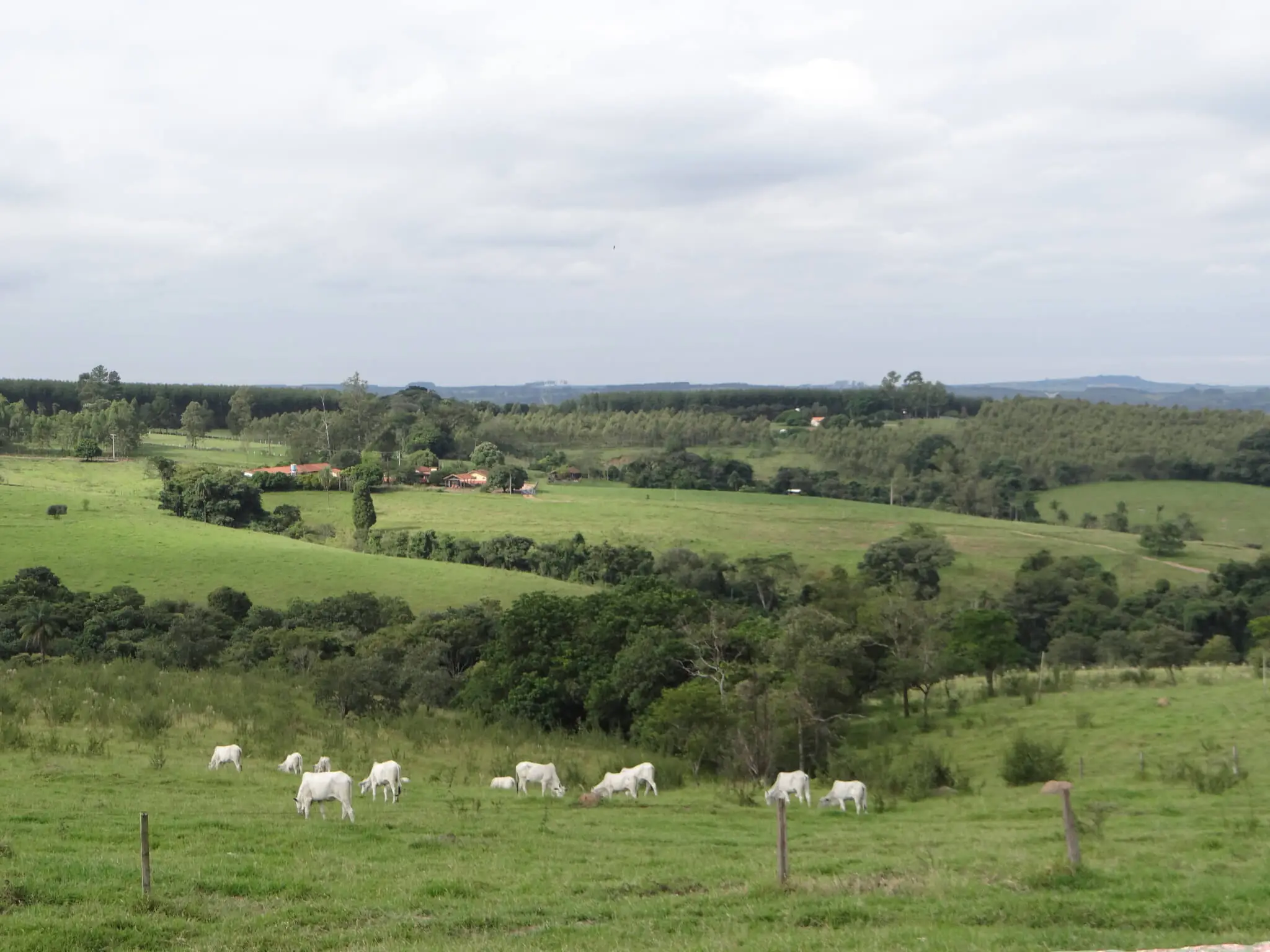 Clima: 97% dizem sentir aumento da temperatura em comunidades de SP