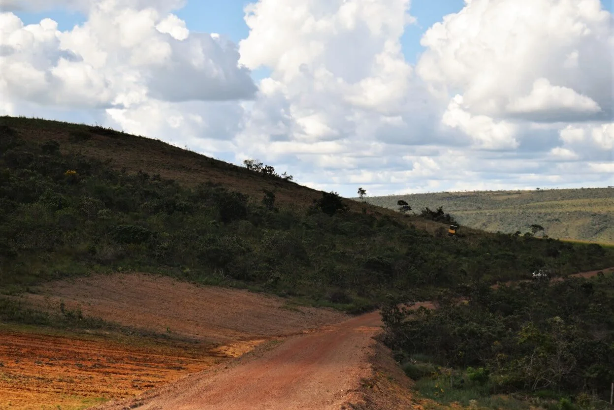 Fora da regulação do mercado, savana é a mais desmatada no Cerrado