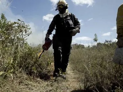 Manejo do fogo como estratégia para reduzir incêndios