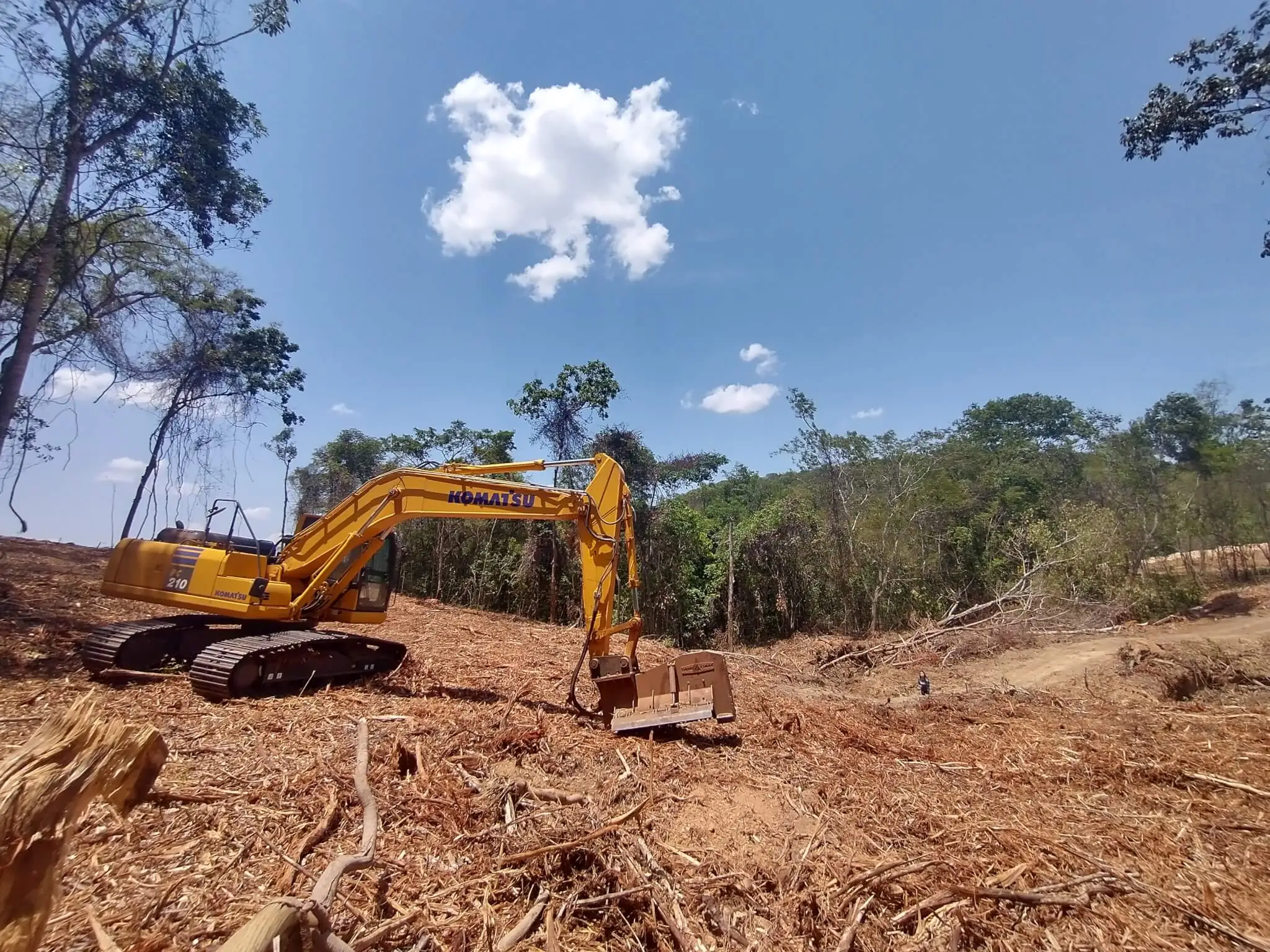 Desmatamento dobra no Cerrado e acelera em áreas sem informação fundiária