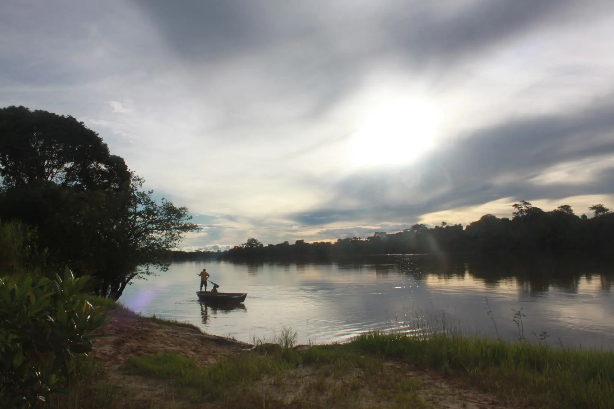 Chave na COP27, Amazônia tem 77% das emissões por desmate no Brasil